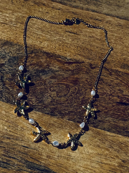 Collar cadena estrella de mar