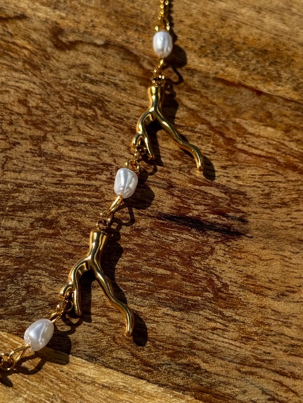 Collar coral