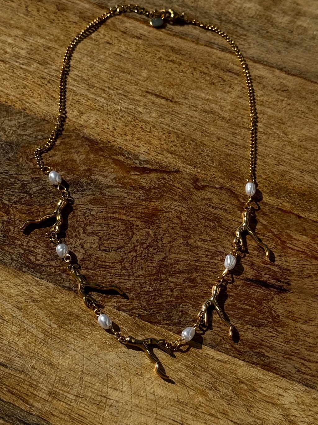 Collar coral