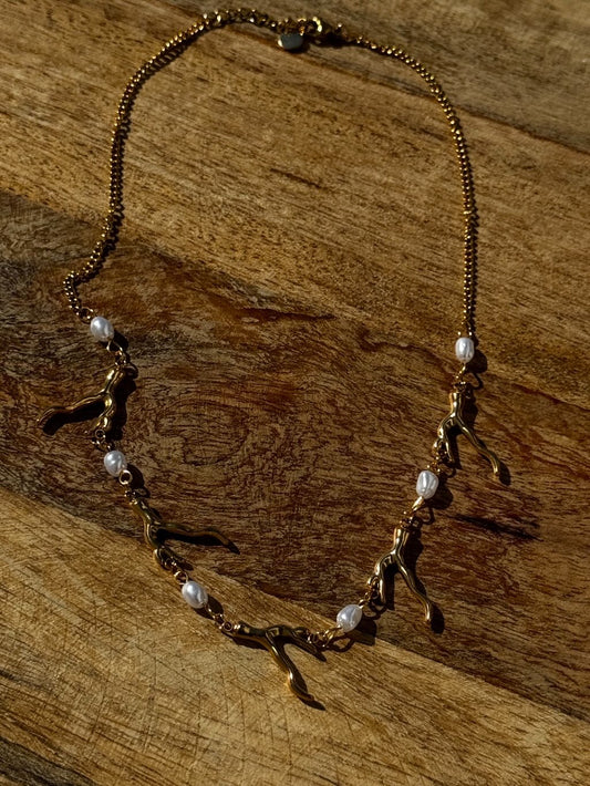 Collar coral