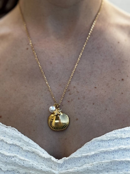 Collar concha de mar