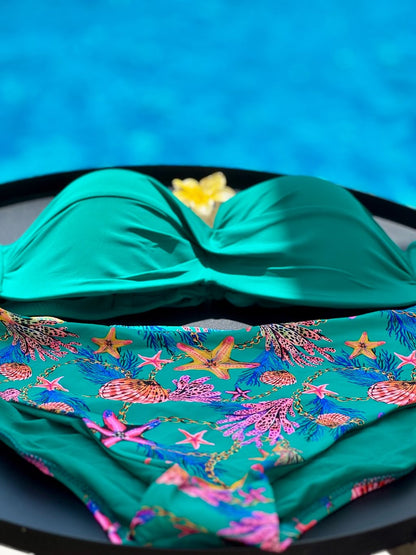 Bikini estrella de mar
