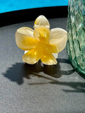 Pinza flor