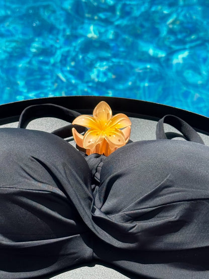 Bikini estrella de mar