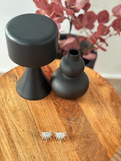 Pendientes brillantes